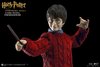 Harry Potter: Harry Potter Christmas Version 1:6 Scale Figure - Star Ace