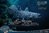 Wonders of the Wild Series: Coelacanth Statue - Star Ace