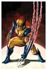 Marvel: Wolverine Vol. 7 - Wolverine #37 Unframed Art Print - Sideshow Toys